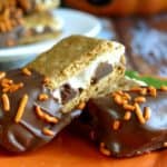 Chocolate Dipped S'mores | Life, Love, and Good Food