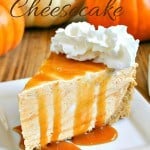 Frozen Pumpkin Pie Cheesecake | Life, Love, and Good Food