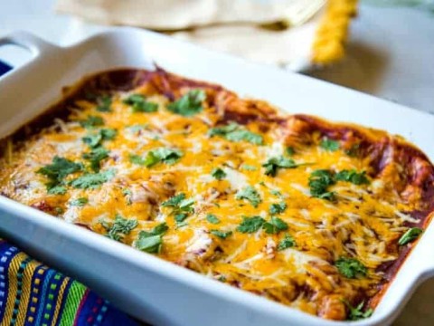 Cheesy Chicken Enchiladas garnished with cilantro