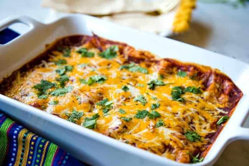 Cheesy Chicken Enchiladas garnished with cilantro