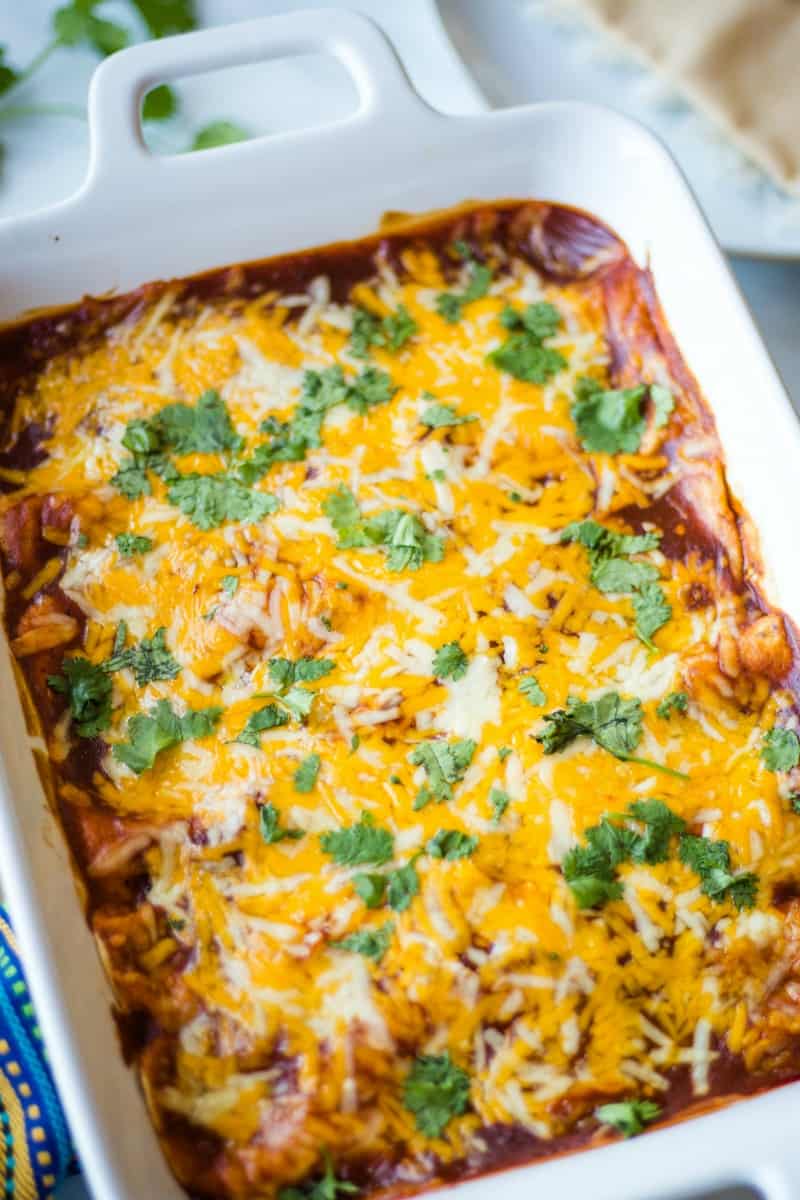 chicken enchiladas smothered in cheese in a white casserole dish with cilantro garnish