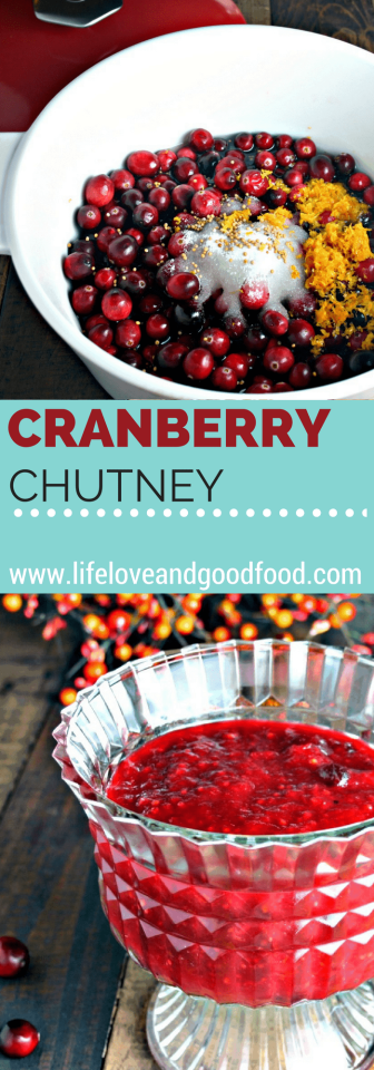 Easy Cranberry Chutney - Life, Love, and Good Food