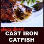 A piece of spicy sweet cast iron catfish on a fork