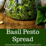 Basil Pesto Spread | Life, Love, and Good Food