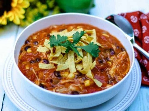 Easy-Cheesy Chicken Enchilada Soup | Life, Love, and Good Food