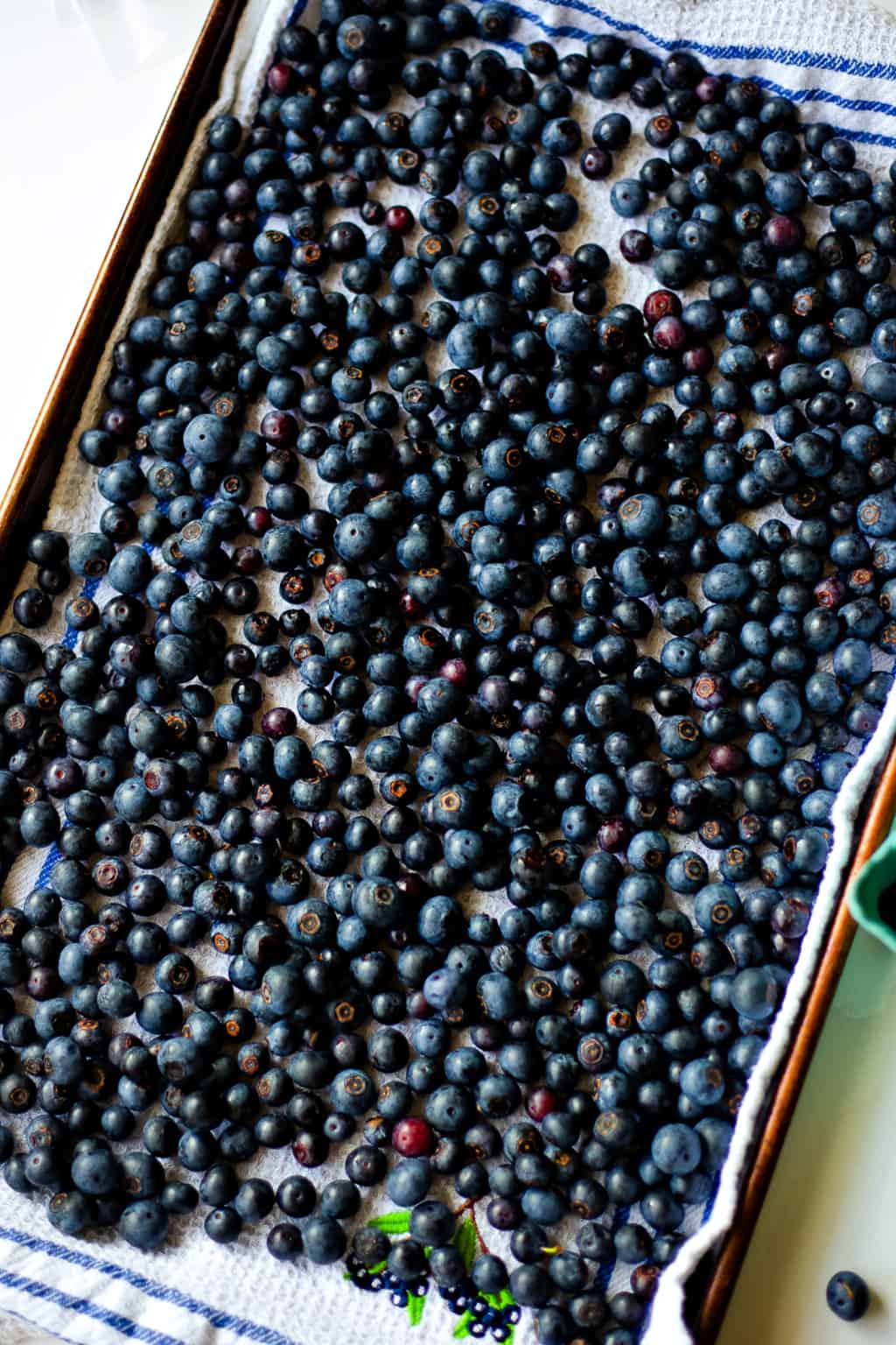 blueberries in a single layer on a kitchen towel