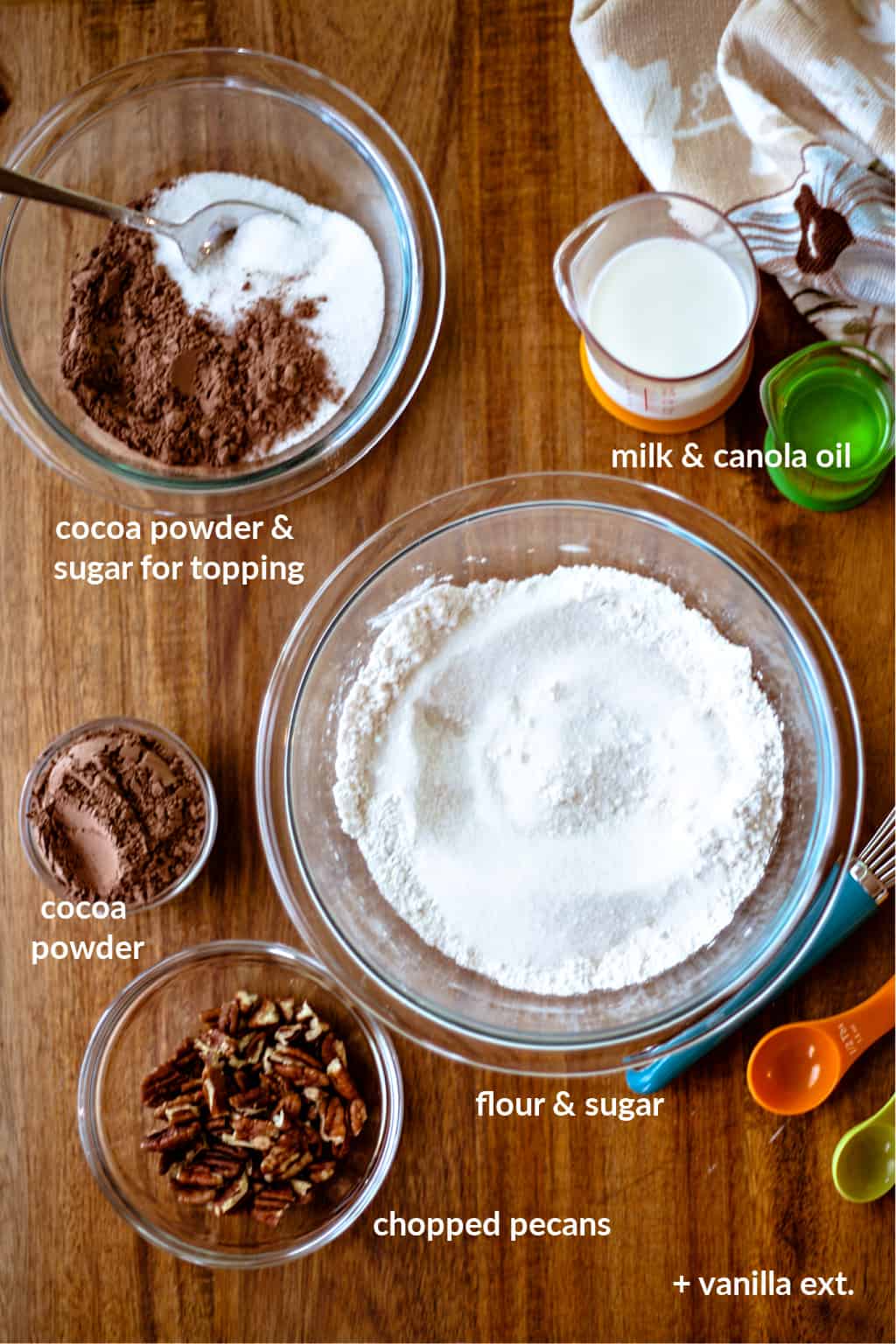 ingredients for chocolate pudding cake