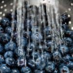 blueberries in colander under running water