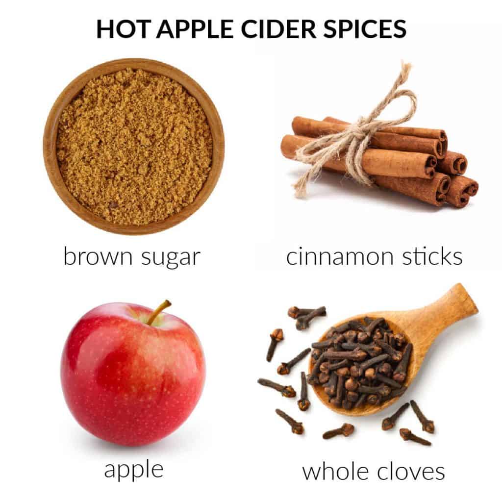 ingredients for hot apple cider spices