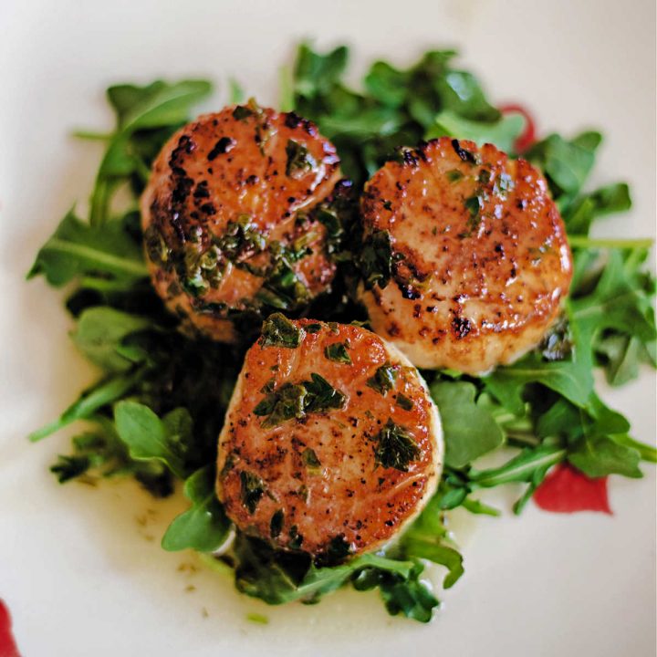 pan-seared scallops on a bed of arugula on a white plate
