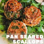 pan-seared scallops on a bed of arugula on a white plate