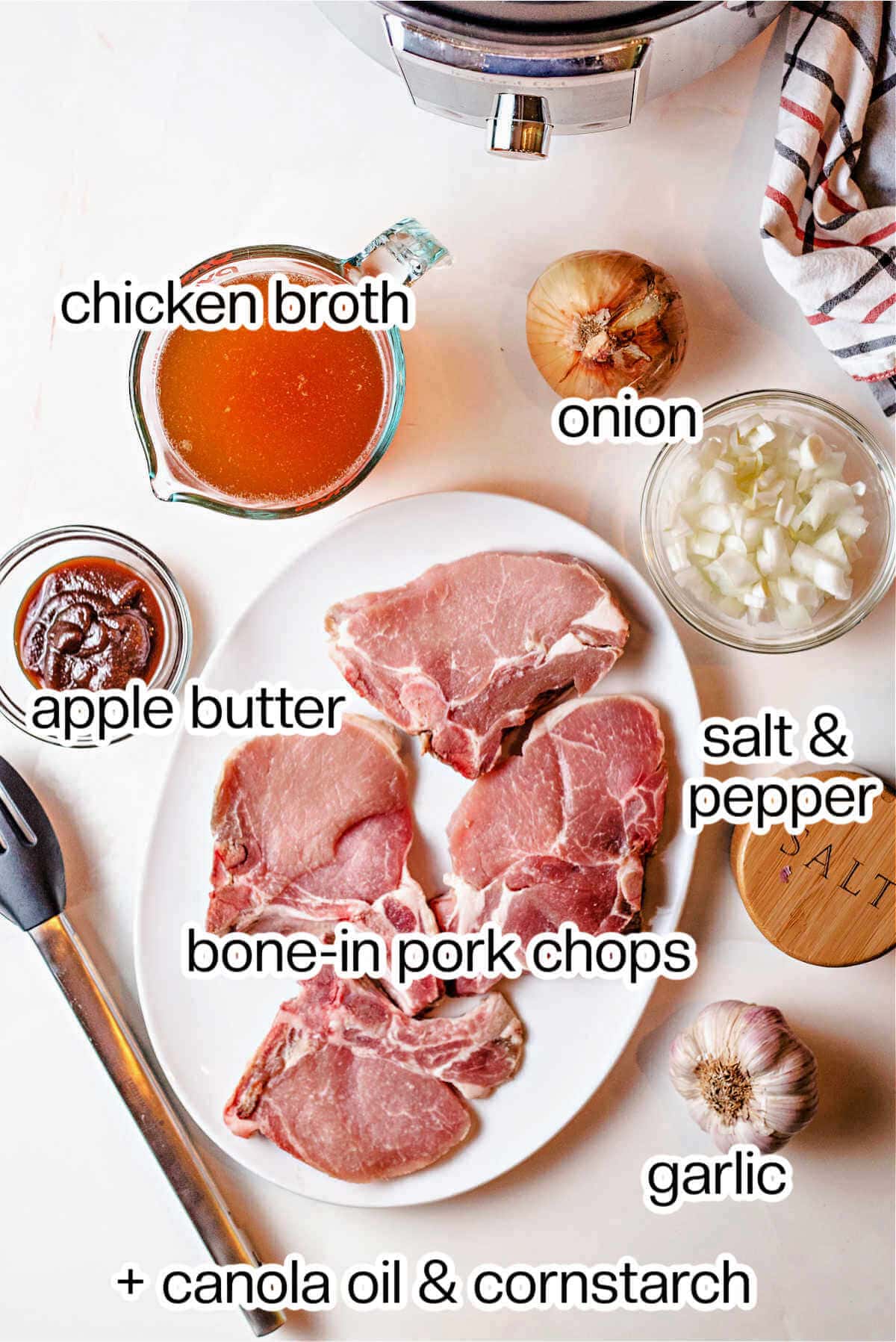 ingredients for instant pot pork chops on a counter: pork chops, apple butter, chicken broth, onion, and garlic.