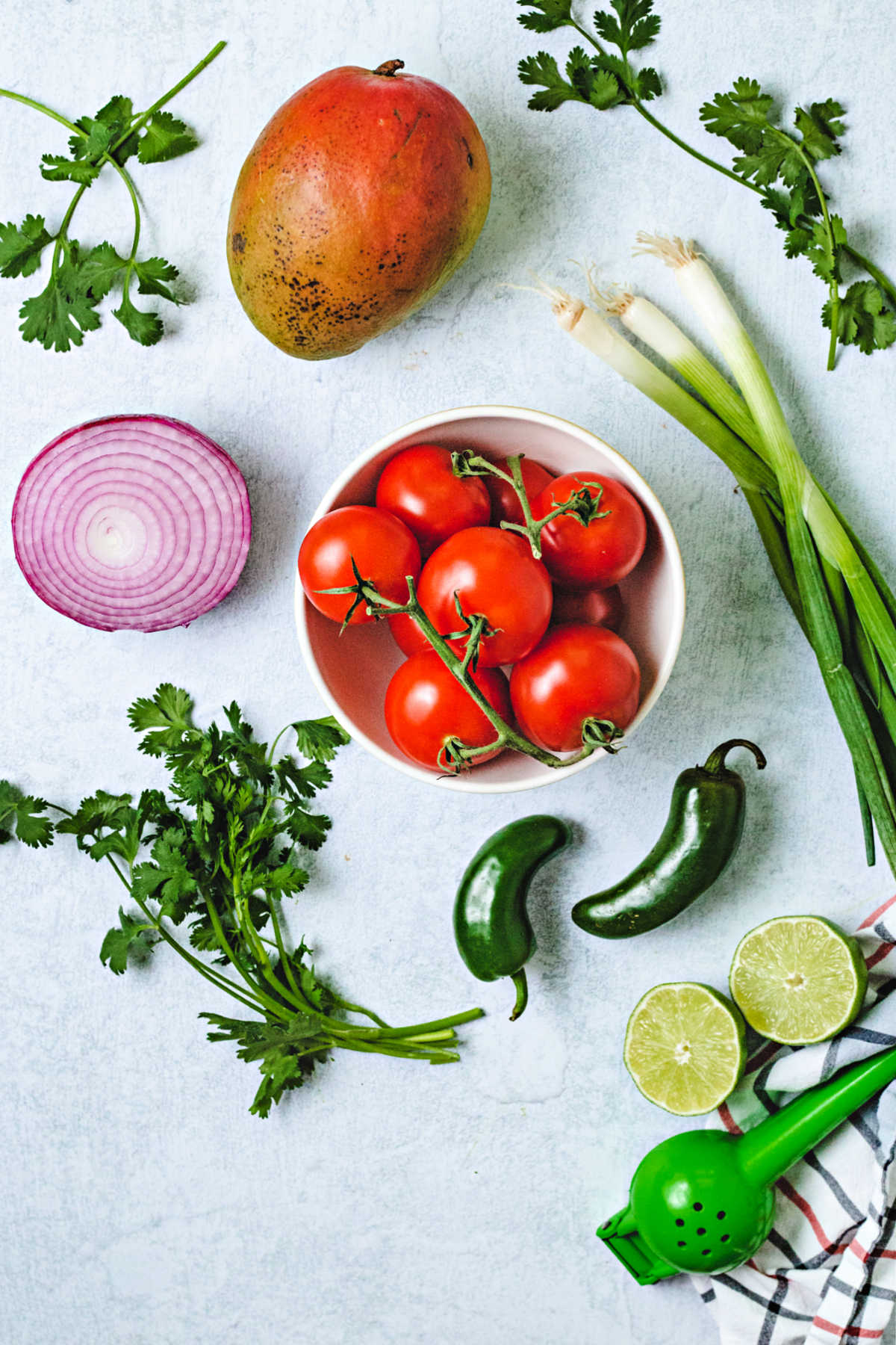 ingredients for mango salsa: tomatoes, mango, cilantro, red onion, scallions, lime, and jalapeno.