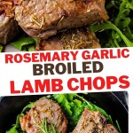 close up shot of a rosemary garlic broiled lamb chop with bits of rosemary on top.