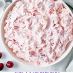 a bowl of creamy cranberry fluff sitting on a table with cranberries scattered around.