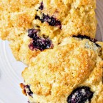 two blueberry scones on a white plate with blueberries scattered on the side.