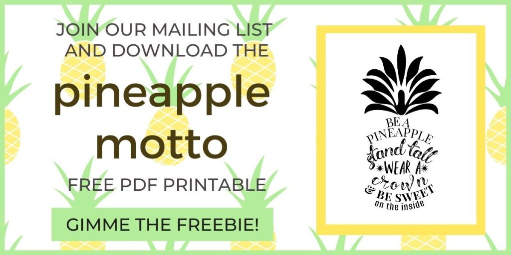 sign up for email pineapple motto opt in form
