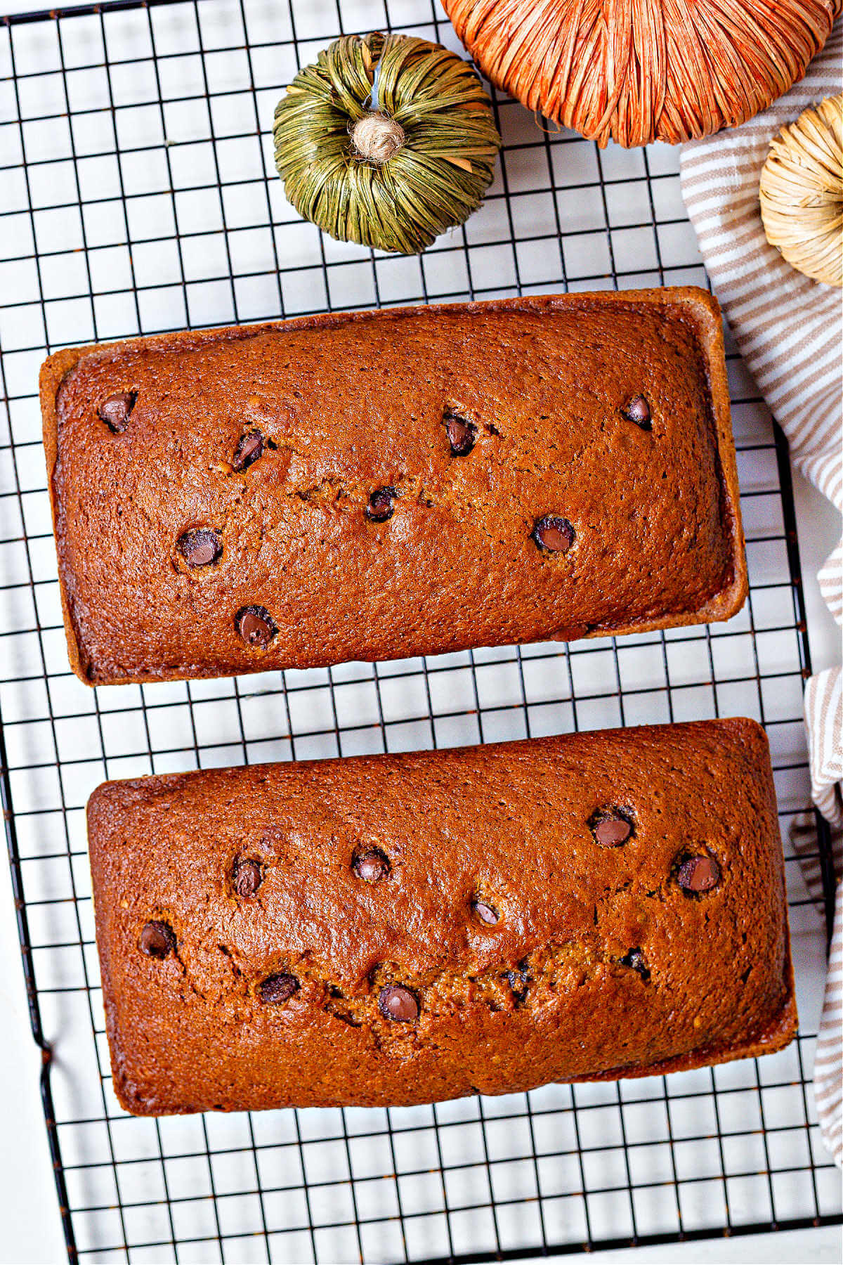two loaves of pumpkin bread with chocolate chips cooling on a wire rack.