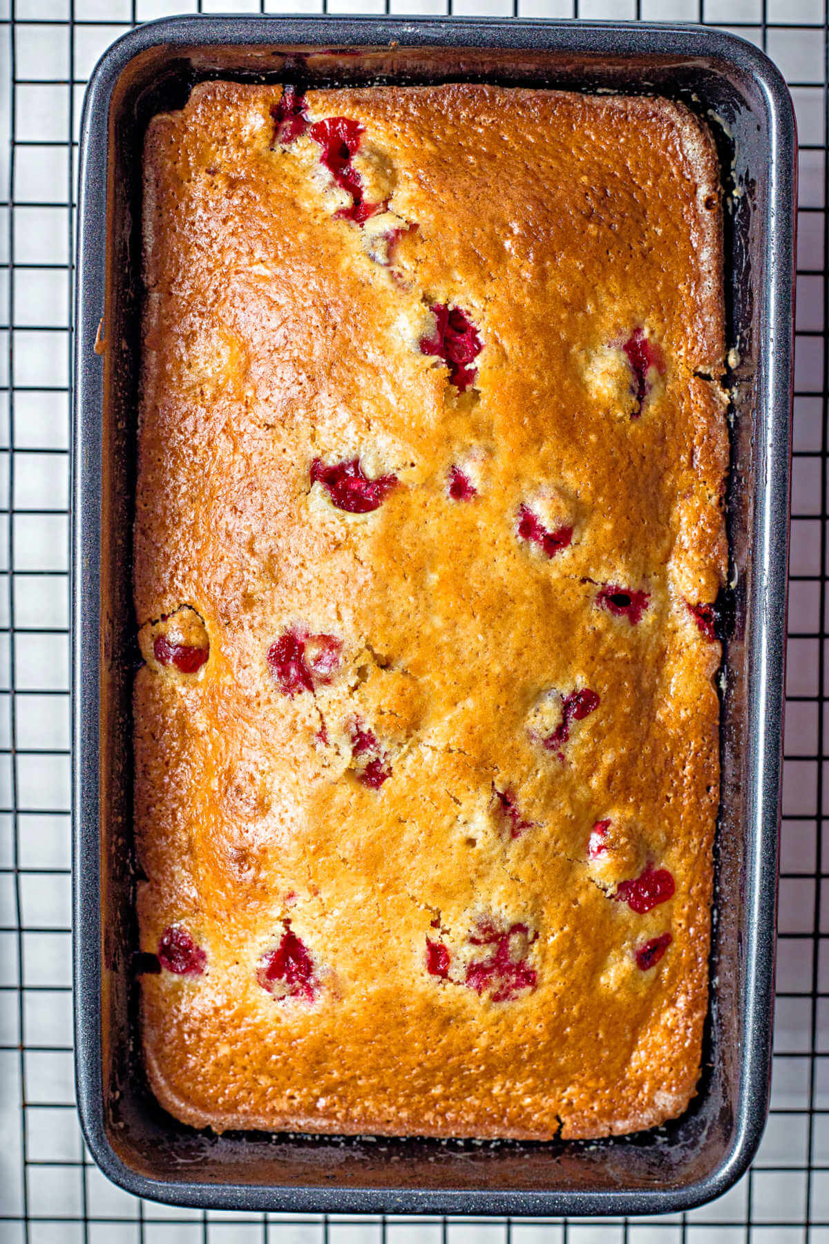 cranberry orange bread in a loaf pan on a wire rack.