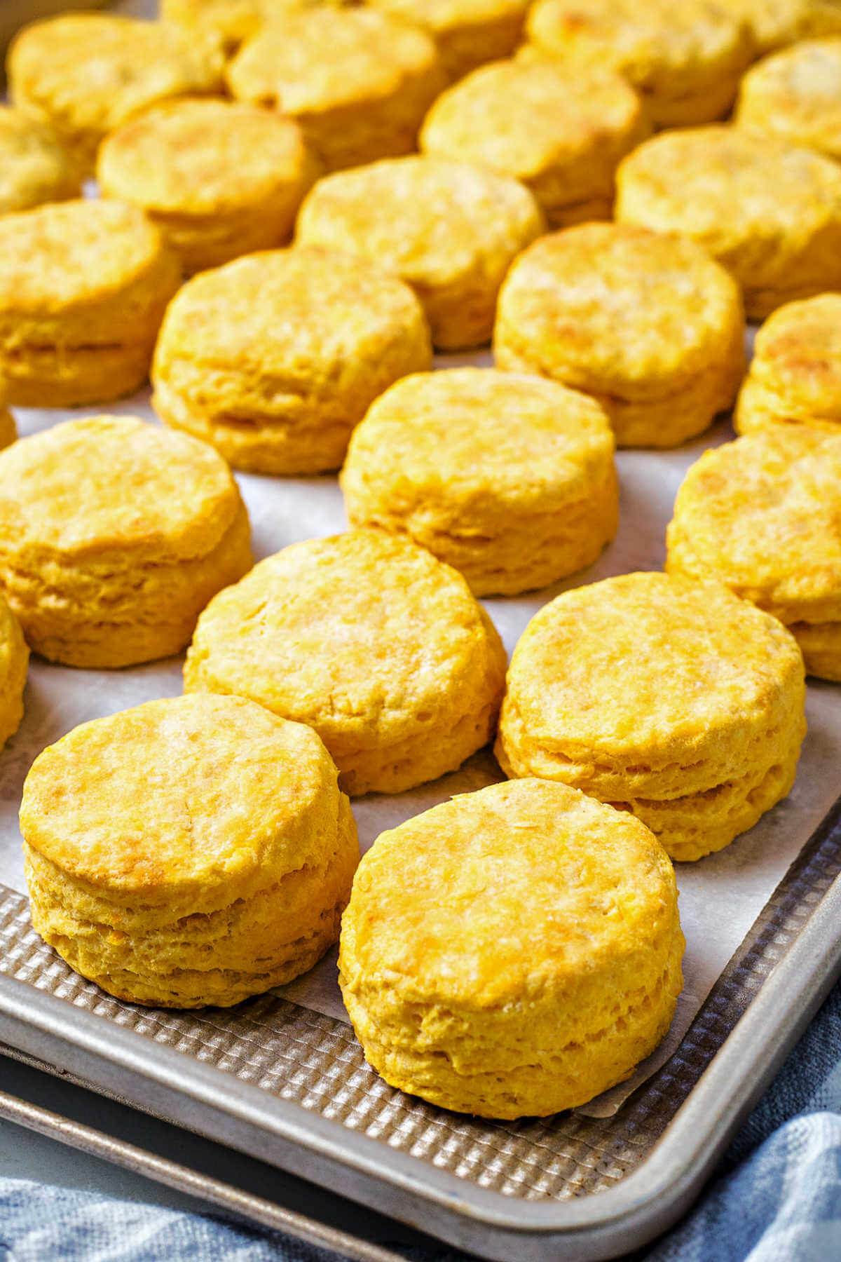 a pan of baked sweet potato biscuits on a cooling rack.