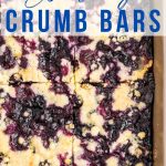 Blueberry Crumb Bars in a baking pan.