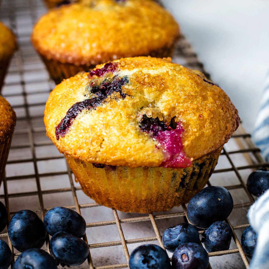 blueberry sour cream muffin on a cooling rack with blueberries scattered around on a table.