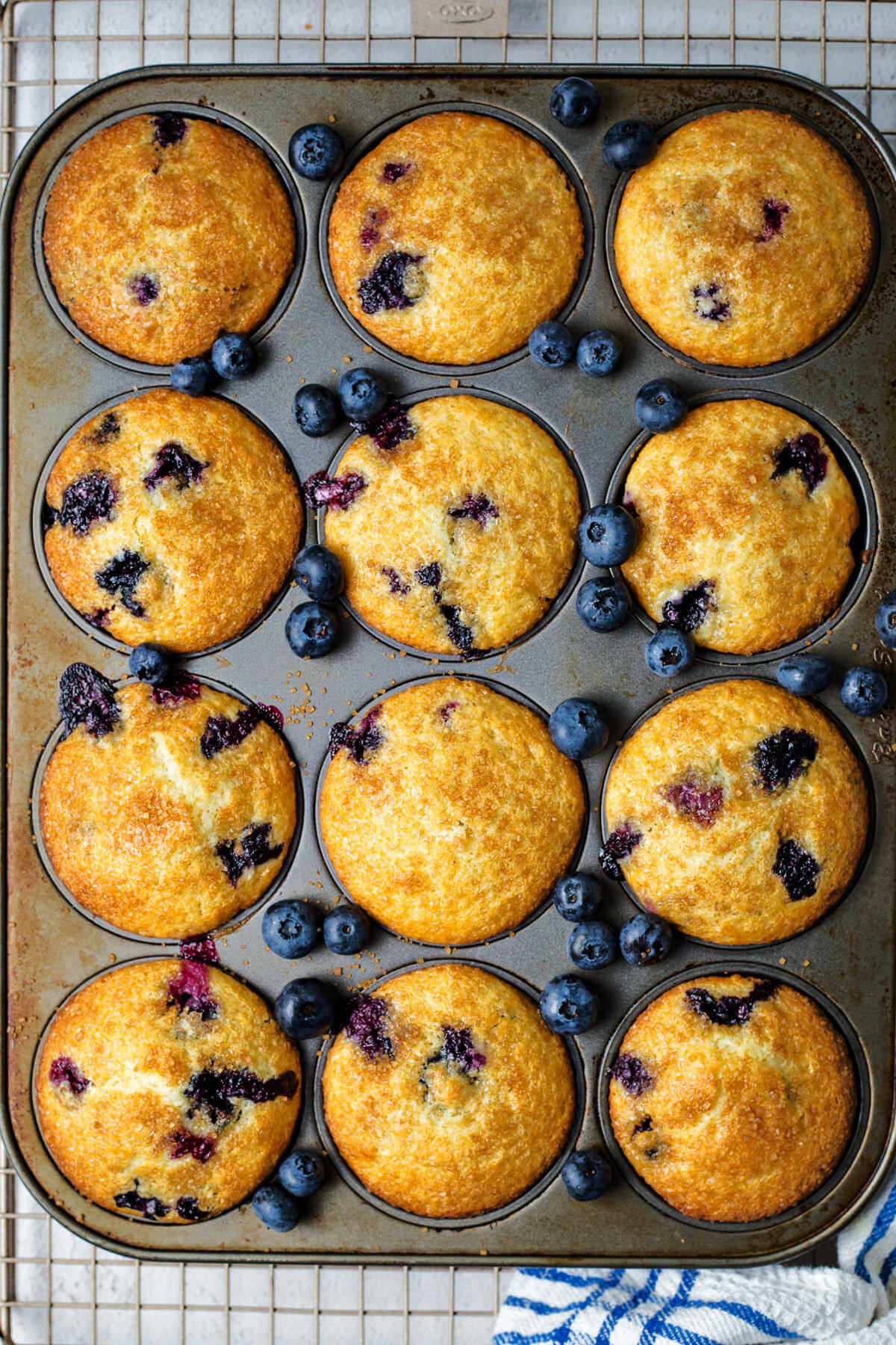 baked sour cream blueberry muffins in a muffin pan on a wire rack.