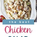 Southern Chicken Salad with Grapes and Pecans