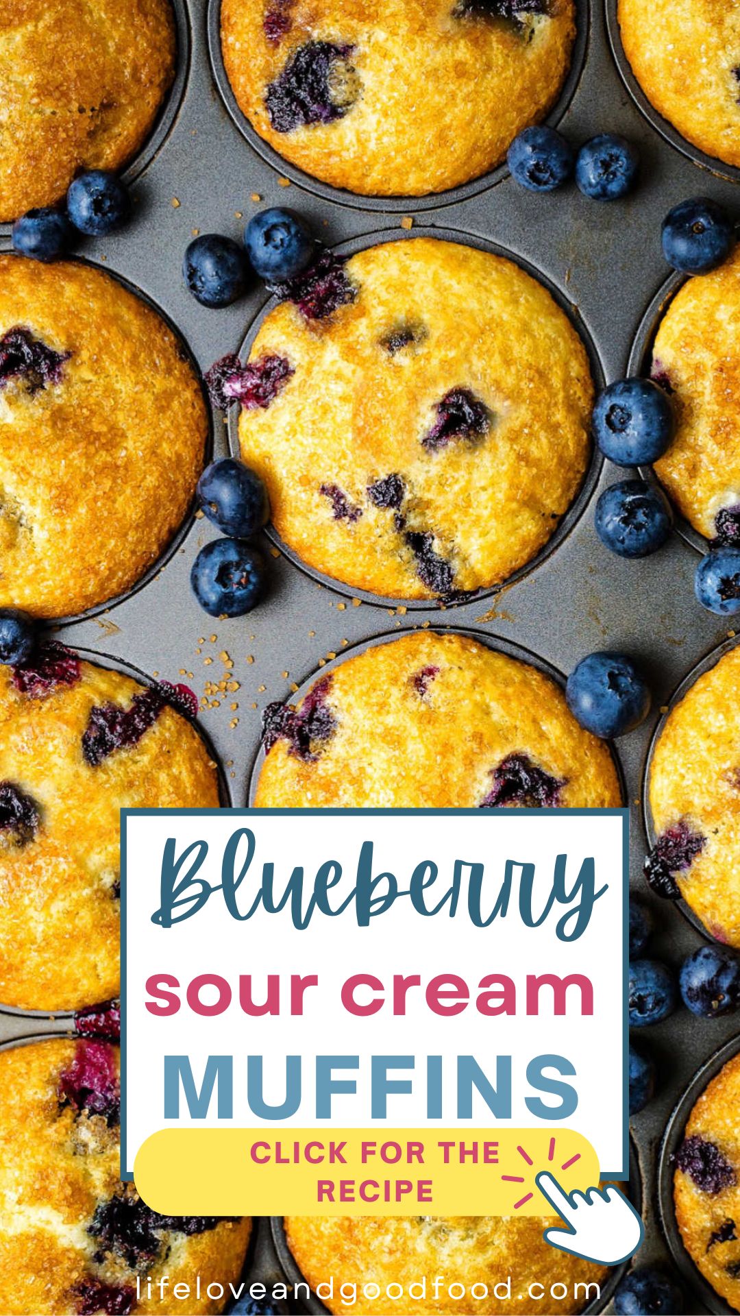 Easy Blueberry Sour Cream Muffins Recipe - Life, Love, and Good Food