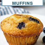 Blueberry Sour Cream Muffin on a plate.