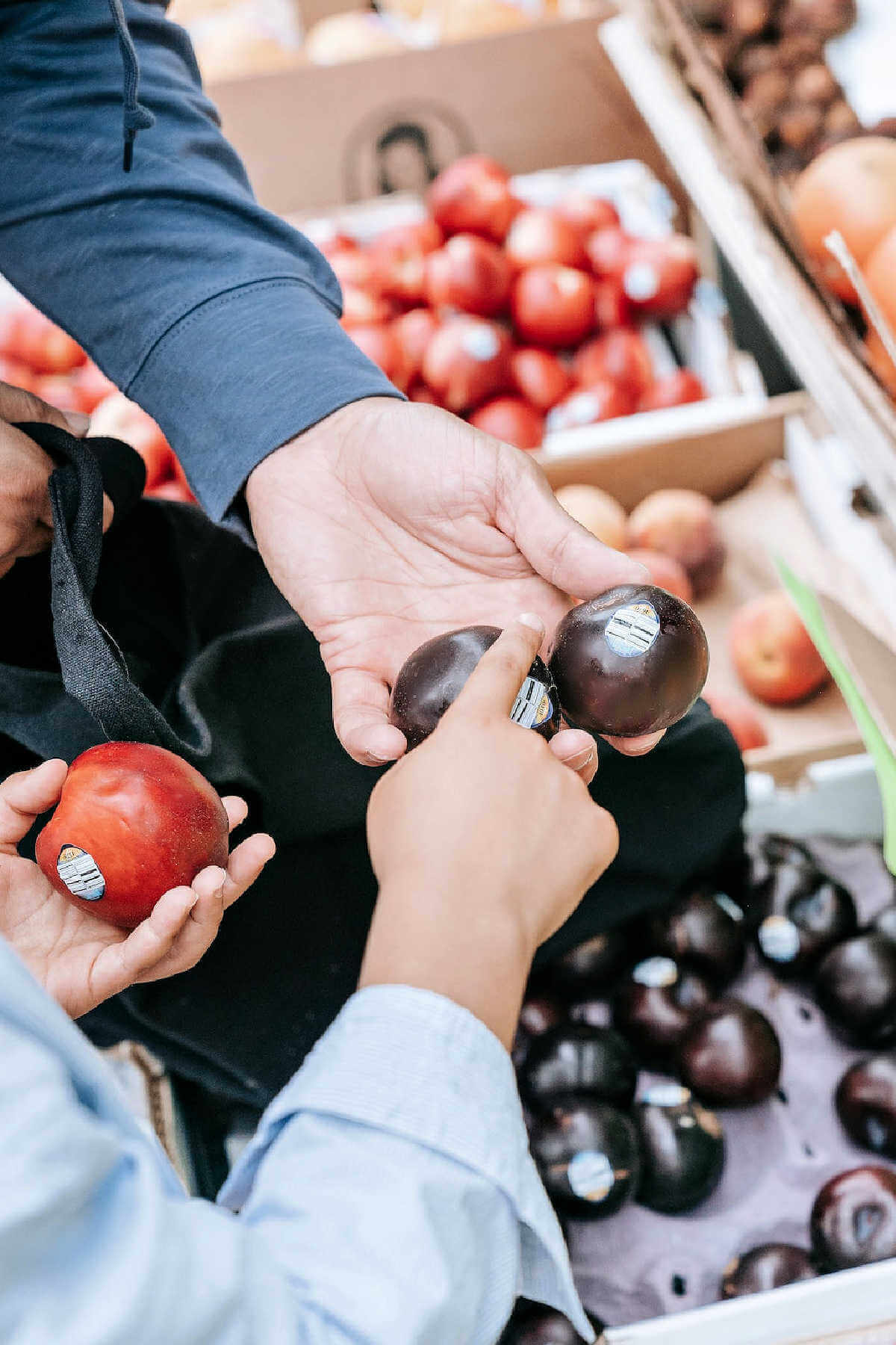 buying plums at the market; red and black plums in crates.