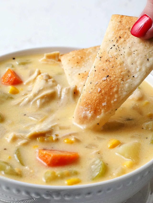 Creamy Chicken Pot Pie Soup with Pie Crust Crackers Story