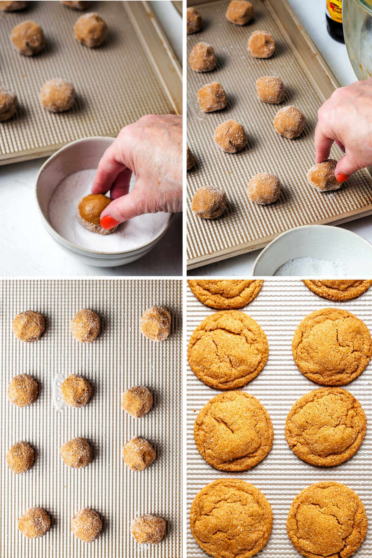 rolling cookie dough into balls and in a bowl of sugar before placing on a baking sheet.