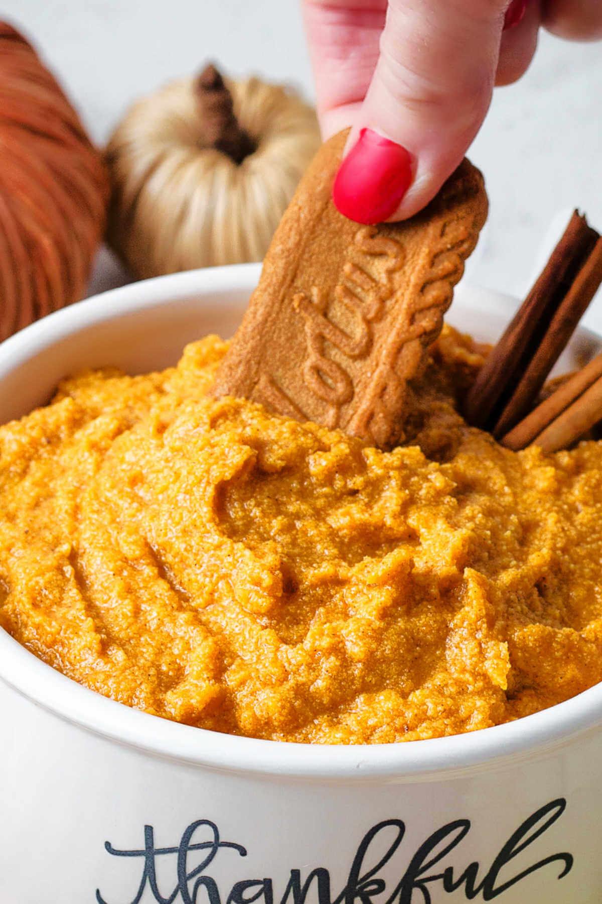 dipping a biscoff cookie into a bowl of pumpkin dip.