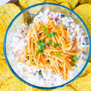Corn Dip made with rotel in a bowl surrounded by tortilla chips.