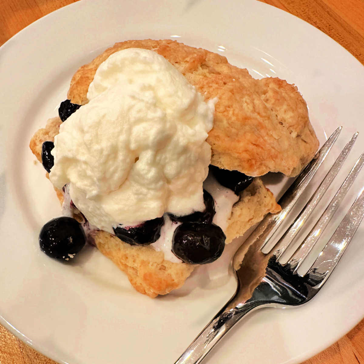 A reader's image for blueberry shortcake.