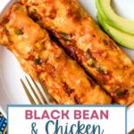 Chicken and Black Bean Enchiladas on a plate.