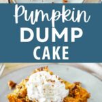 A slice of Pumpkin Dump Cake topped with whipped cream.