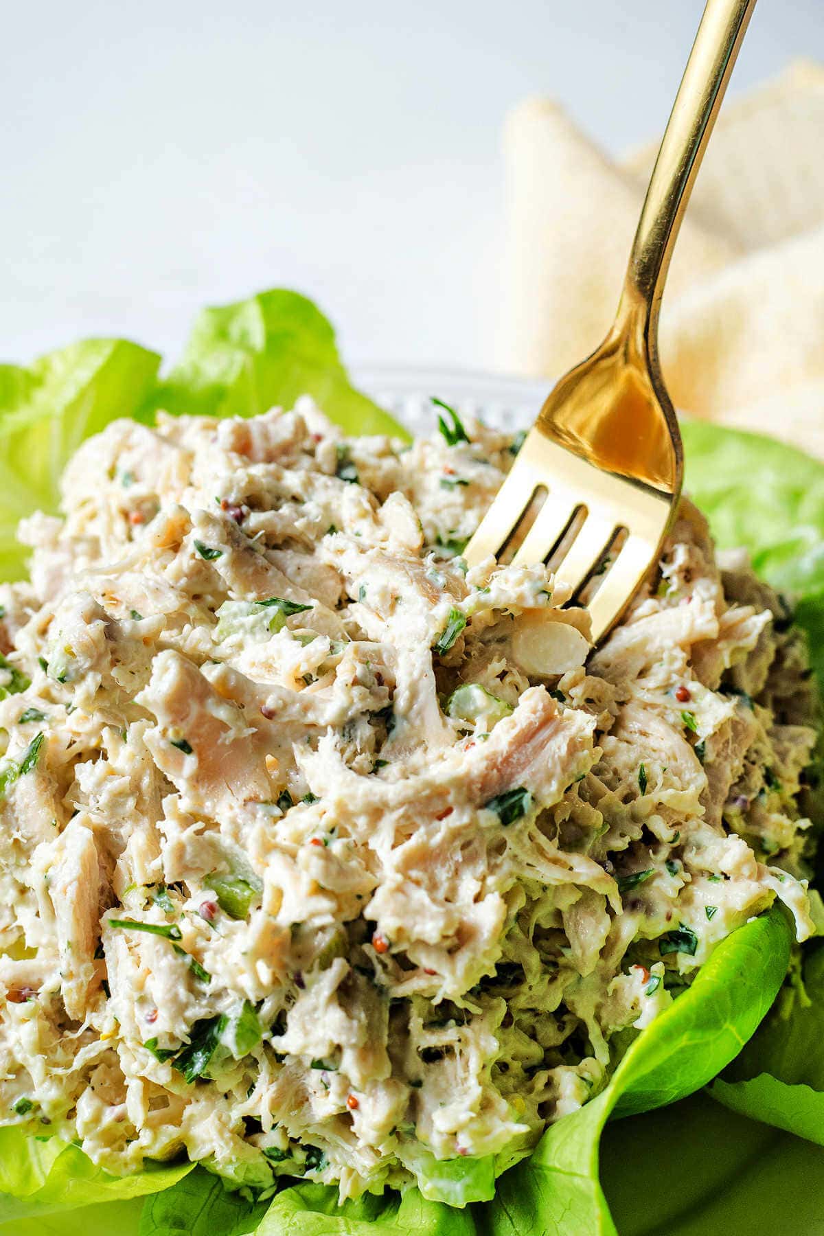 A fork scooping up chicken salad from a plate.