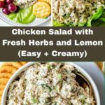 A collage of chicken salad images.